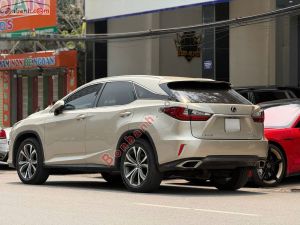 Xe Lexus RX 300 2018