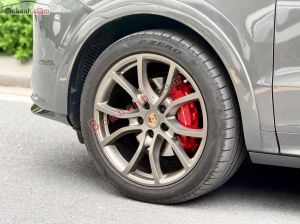 Xe Porsche Cayenne 3.0 V6 2018