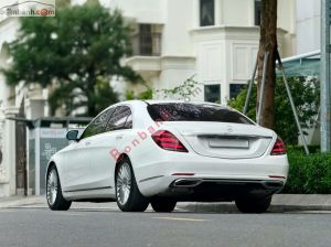 Xe Mercedes Benz S class S450L 2020