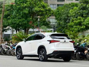 Xe Lexus NX 300 2019