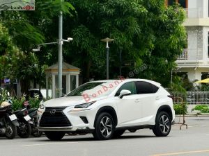 Xe Lexus NX 300 2019