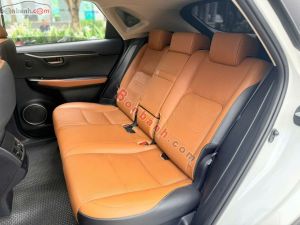 Xe Lexus NX 300 2019