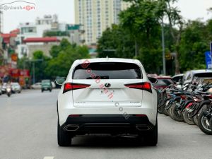 Xe Lexus NX 300 2019