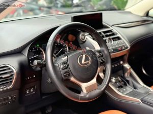 Xe Lexus NX 300 2019