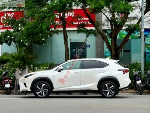 Xe Lexus NX 300 2019