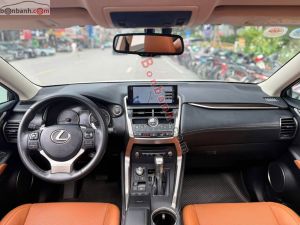 Xe Lexus NX 300 2019