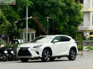 Xe Lexus NX 300 2019