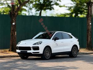 Xe Porsche Cayenne 3.0 V6 2021